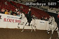 06buckeye_0489 proof