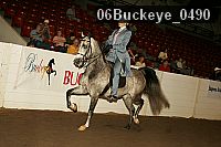 06buckeye_0490 proof