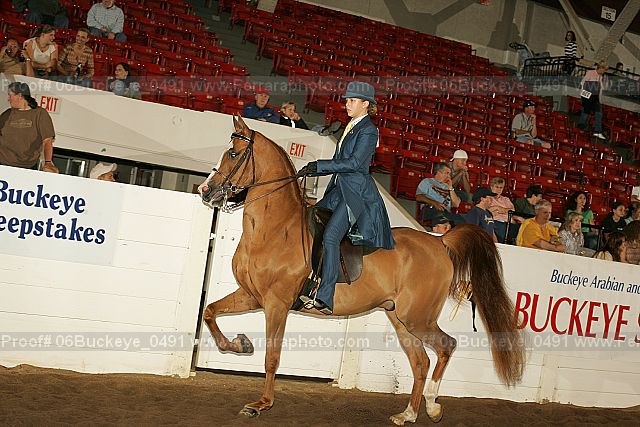 Proof 06buckeye_0491