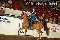 06buckeye_0491 proof