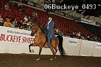 06buckeye_0493 proof