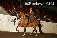 06buckeye_0494 proof