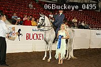 06buckeye_0495 proof