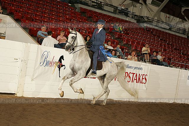 Proof 06buckeye_0496