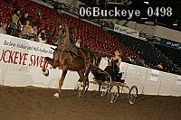 06buckeye_0498 proof