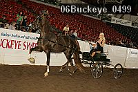 06buckeye_0499 proof