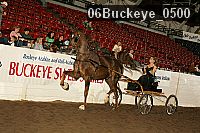 06buckeye_0500 proof