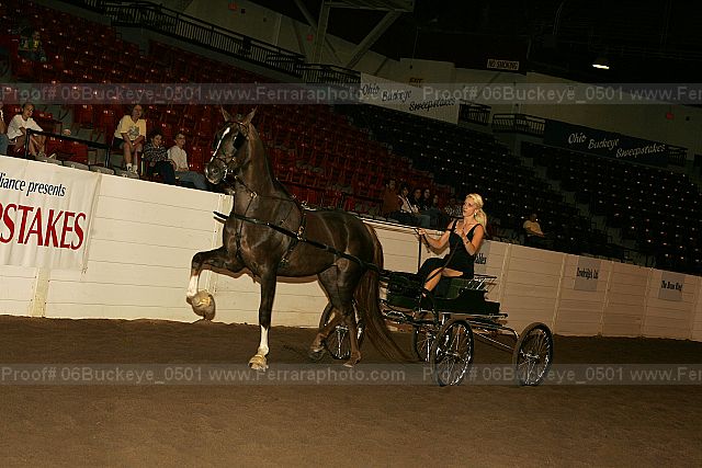Proof 06buckeye_0501