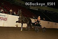 06buckeye_0501 proof