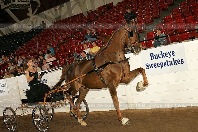 Proof 06buckeye_0502