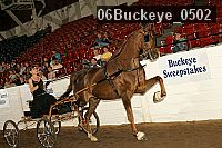 06buckeye_0502 proof