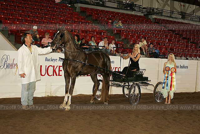 Proof 06buckeye_0504