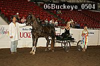 06buckeye_0504 proof