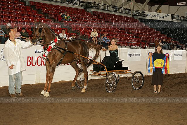 Proof 06buckeye_0505