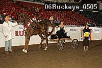 06buckeye_0505 proof