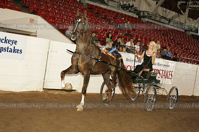 Proof 06buckeye_0506