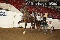 06buckeye_0506 proof