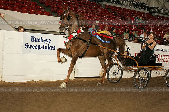 Proof 06buckeye_0507