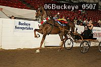 06buckeye_0507 proof