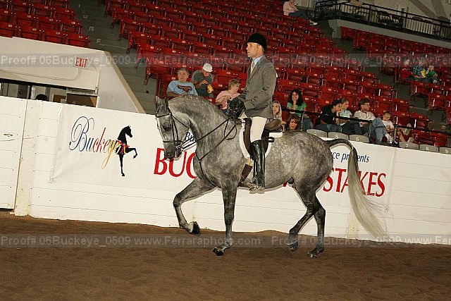 Proof 06buckeye_0509