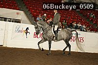 06buckeye_0509 proof