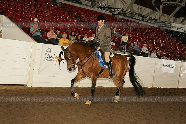 Proof 06buckeye_0510