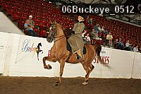 06buckeye_0512 proof