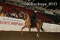 06buckeye_0513 proof