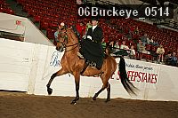 06buckeye_0514 proof
