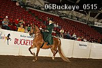 06buckeye_0515 proof