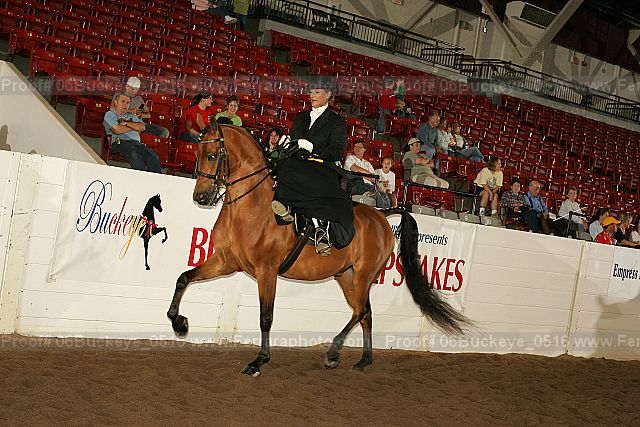 Proof 06buckeye_0516