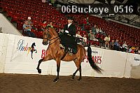 06buckeye_0516 proof