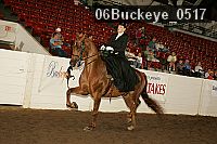 06buckeye_0517 proof