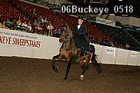 06buckeye_0518 proof