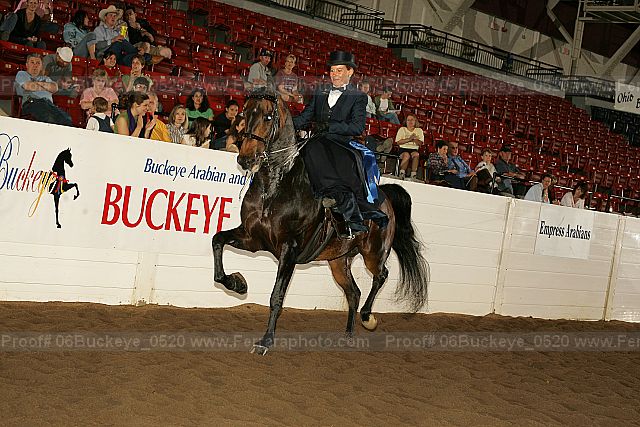 Proof 06buckeye_0520