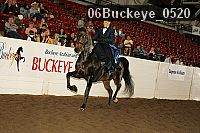 06buckeye_0520 proof