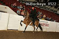 06buckeye_0522 proof