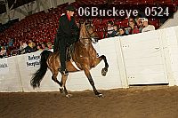 06buckeye_0524 proof