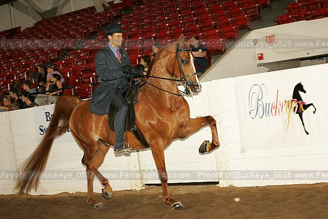 Proof 06buckeye_0525