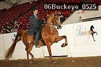 06buckeye_0525 proof
