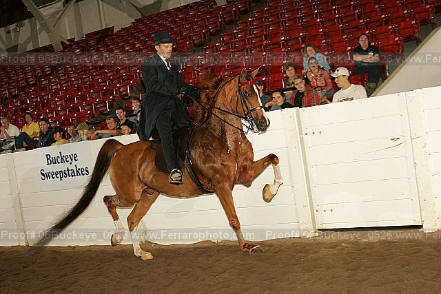 Proof 06buckeye_0526