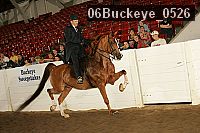 06buckeye_0526 proof