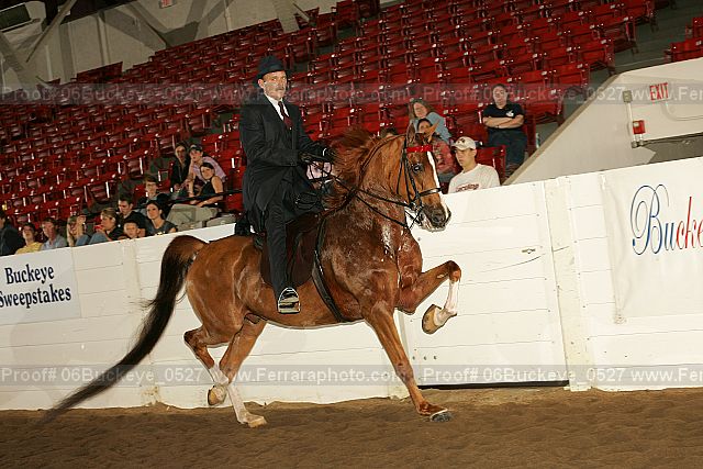 Proof 06buckeye_0527