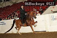 06buckeye_0527 proof