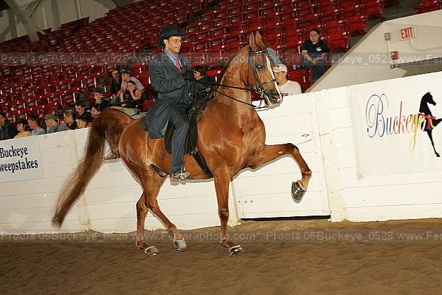Proof 06buckeye_0528