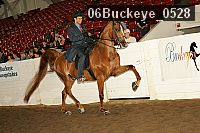 06buckeye_0528 proof