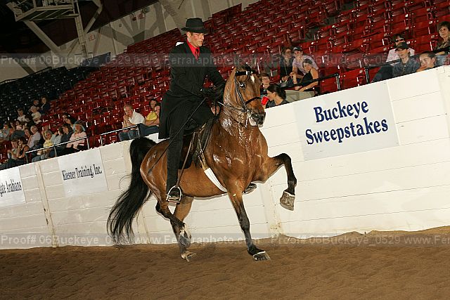 Proof 06buckeye_0529