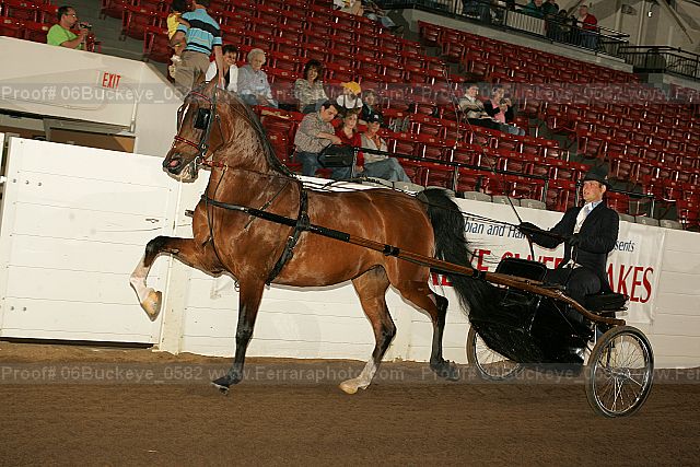 Proof 06buckeye_0582