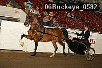 06buckeye_0582 proof