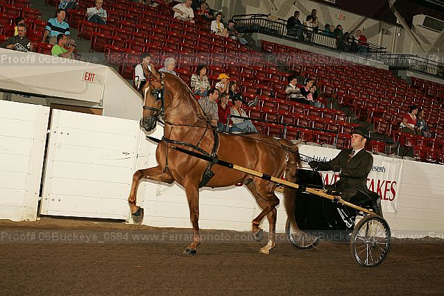 Proof 06buckeye_0584